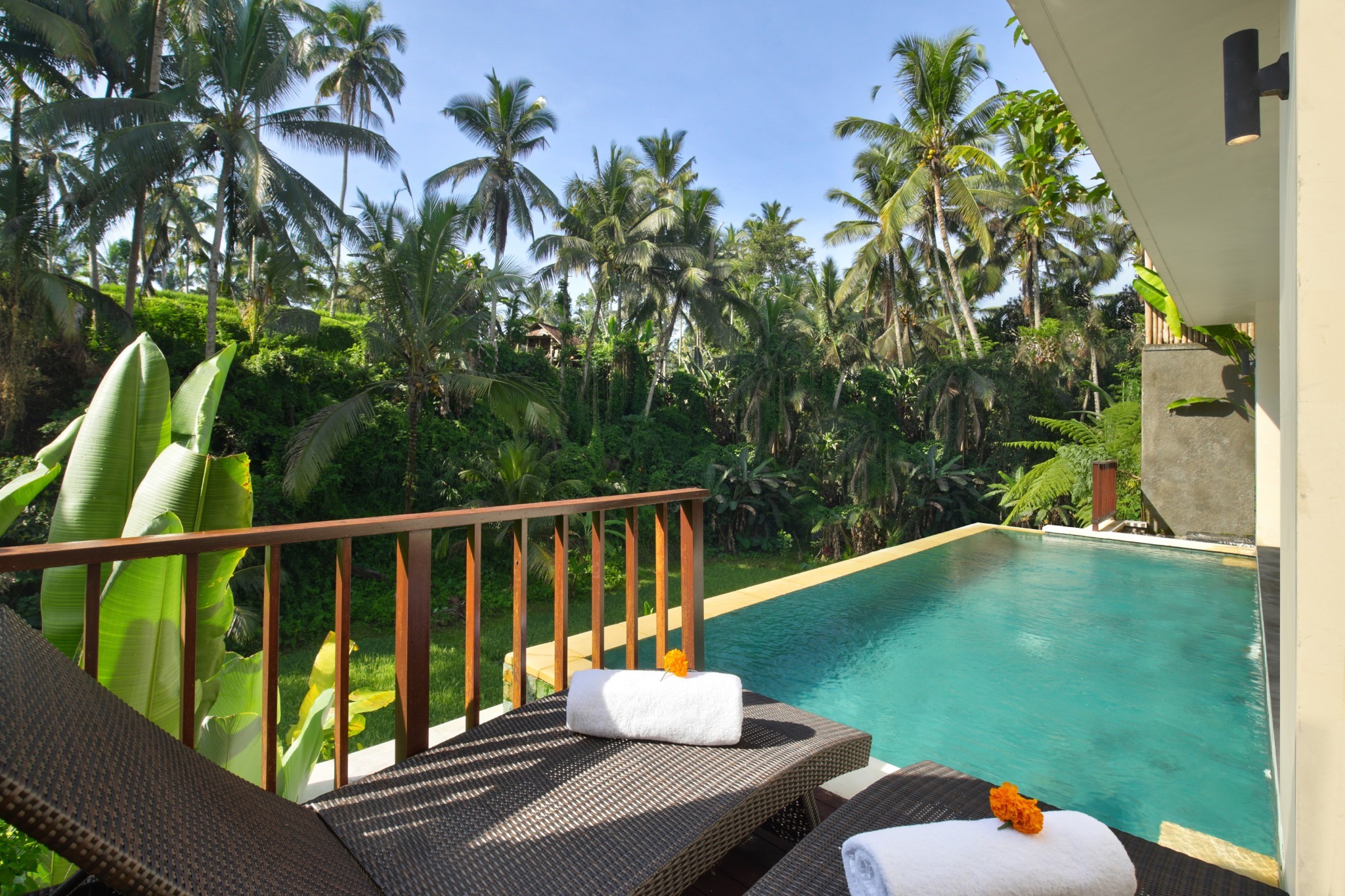 Dedary Resort Ubud Pool