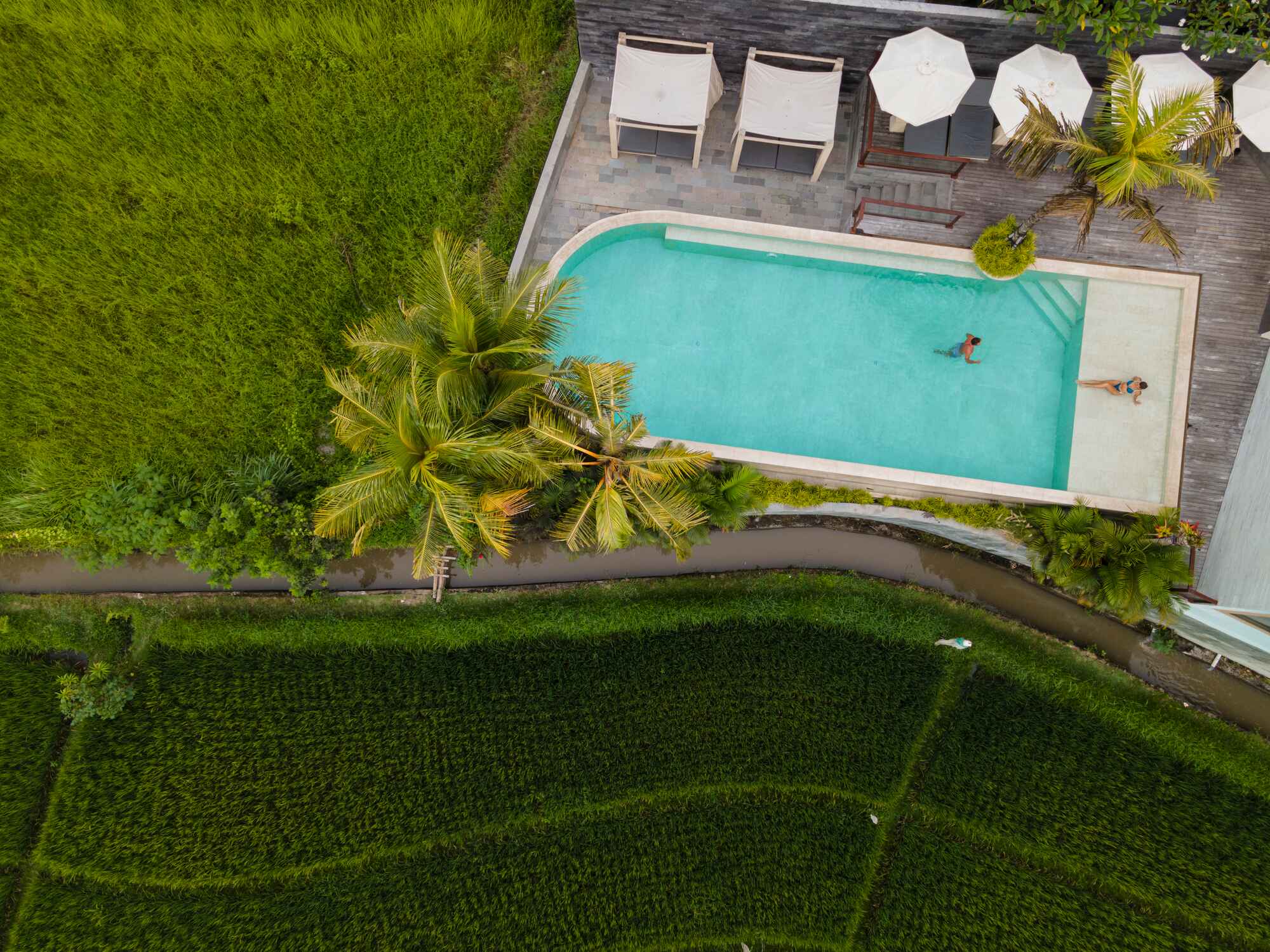 Astera Resort Canggu Pool