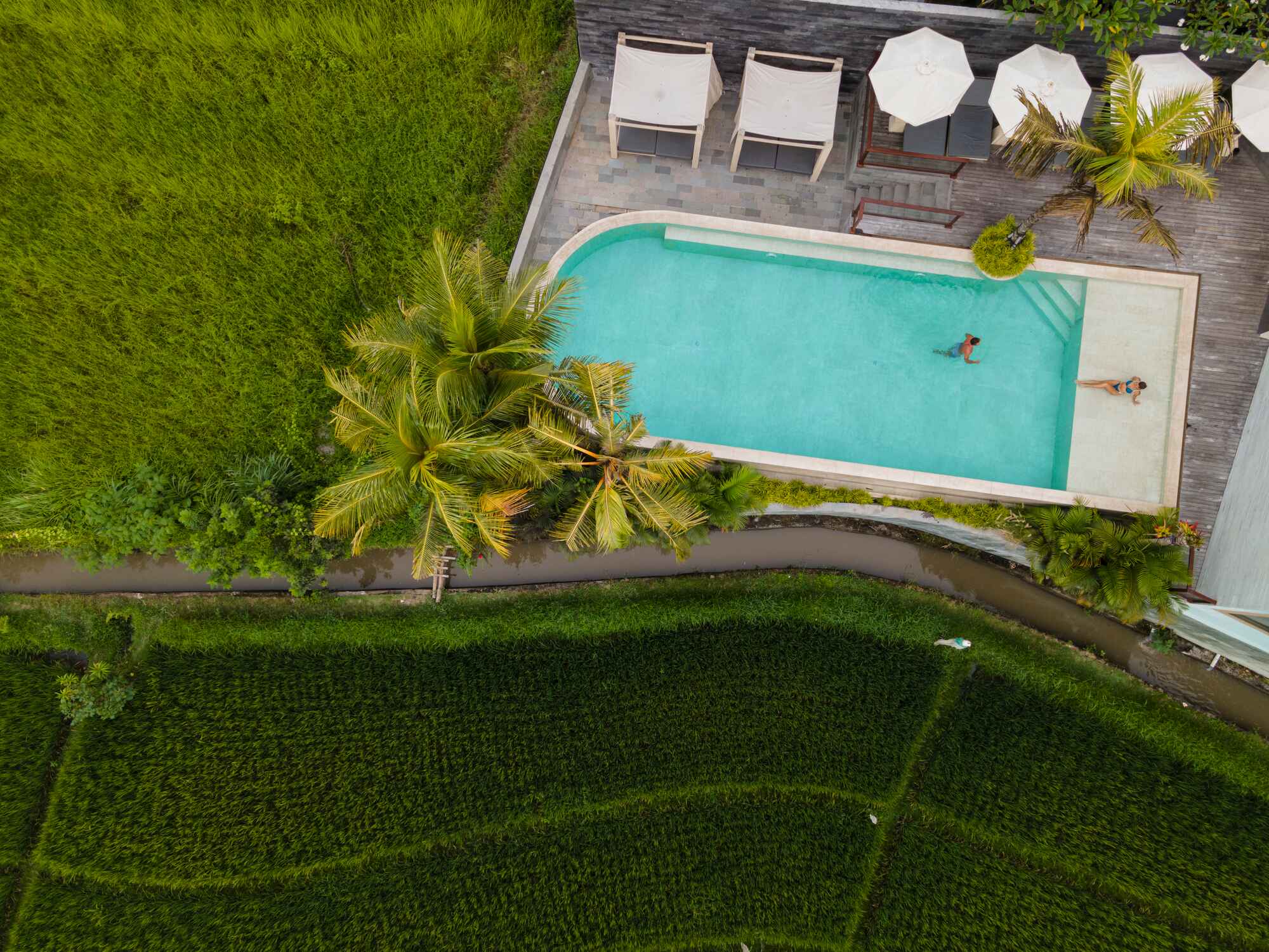 Astera Resort Canggu Pool